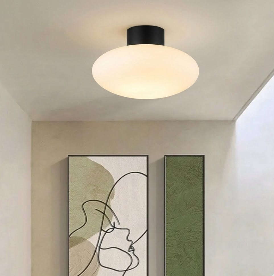 Orion L ceiling light