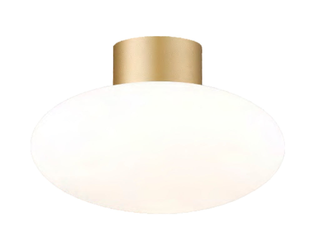 Orion Altalum wall light / ceiling light