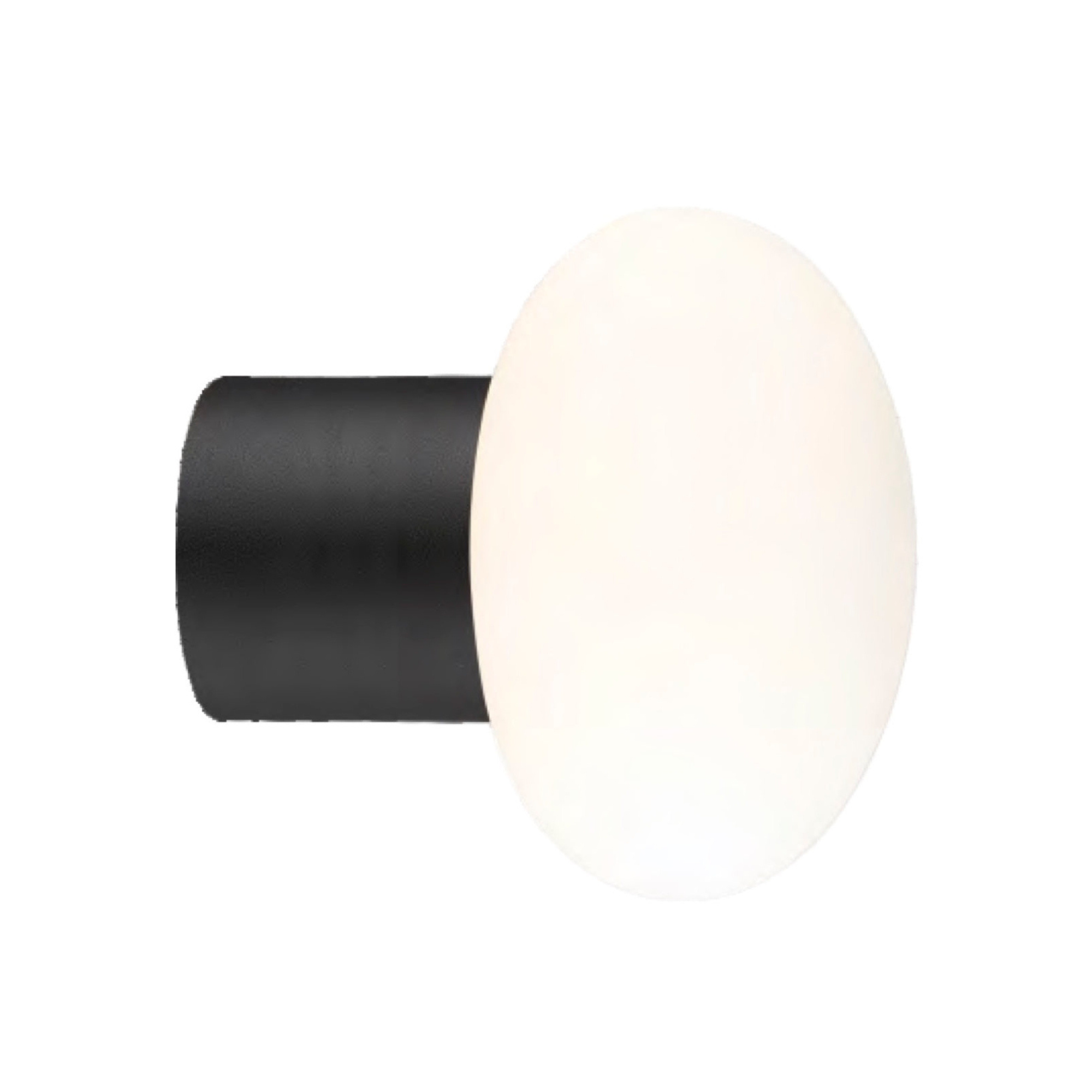 Orion S Wall / Ceiling Light